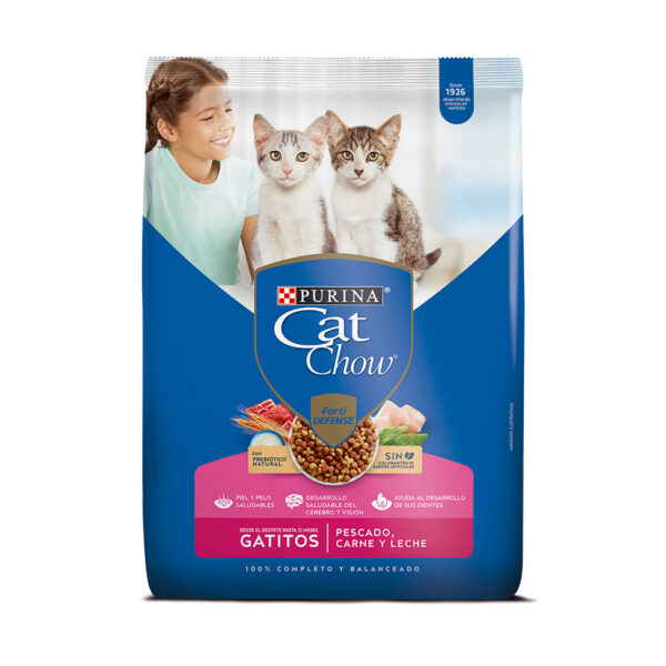 Catchow gatitos