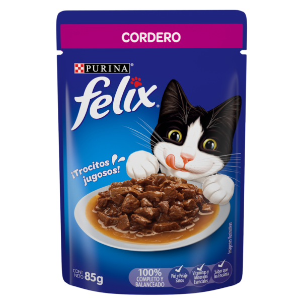 sobre felix cordero