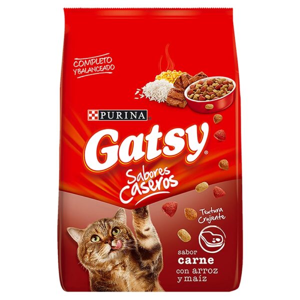gatsy carne