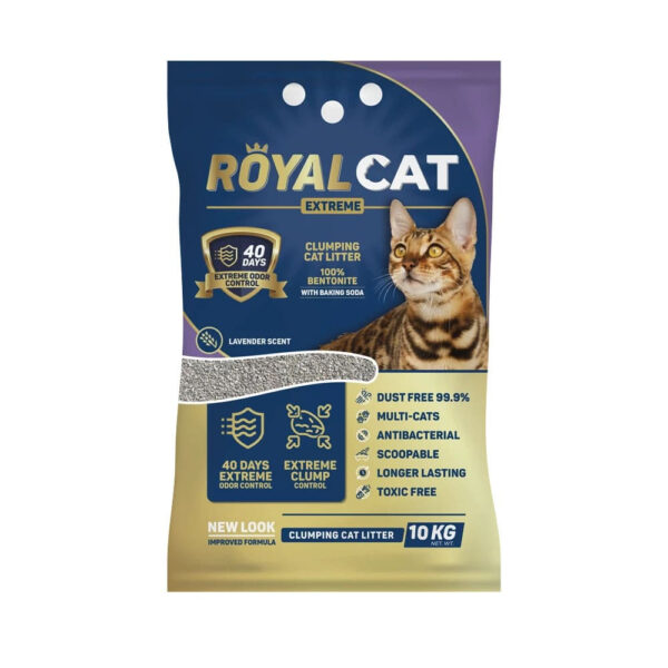 Arena royal cat