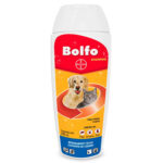 bolfo shampoo