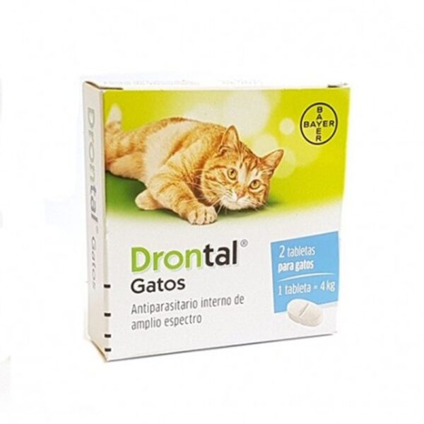 drontal gatos