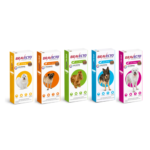 Antipulas Bravecto Perros