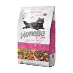 monello gato adulto
