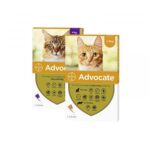 advocate gatos