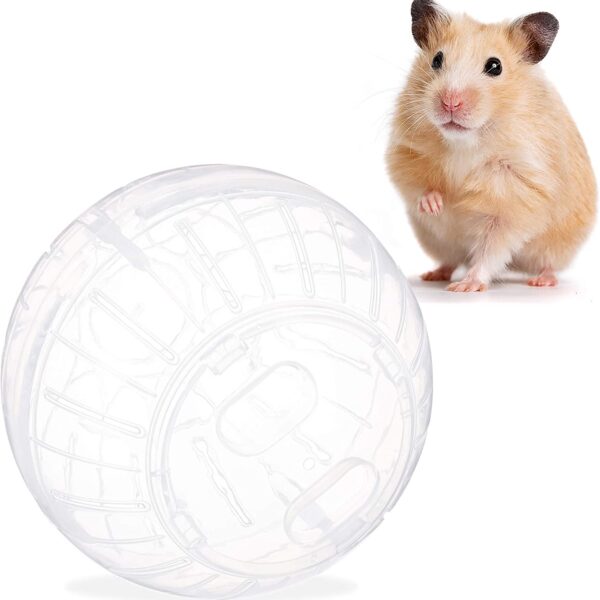 bola de hamster
