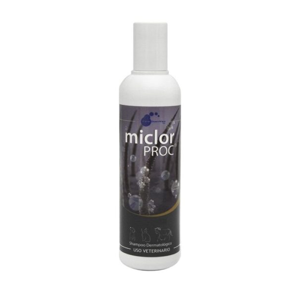 Shampoo miclor proc