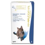 Revolution gato