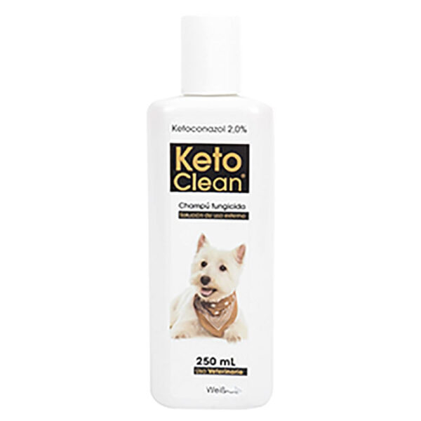 ketoclean shampoo 250 ml