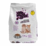 oh mai gat juguetones y exploradores