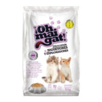 oh mai gat juguetones