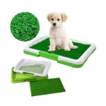 grama sintética para perros