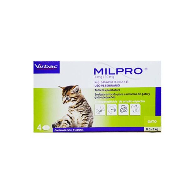 milpro gatitos