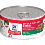 Lata hills kitten x 5.5 oz