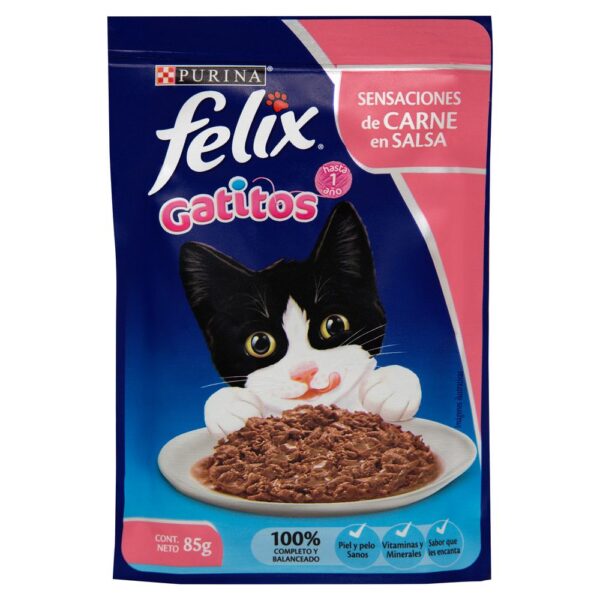 sobre felix gatitos