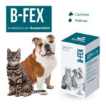 B fex x 60 ml
