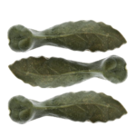 hojas de clorofila para perros