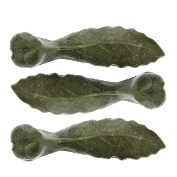 hojas de clorofila para perros