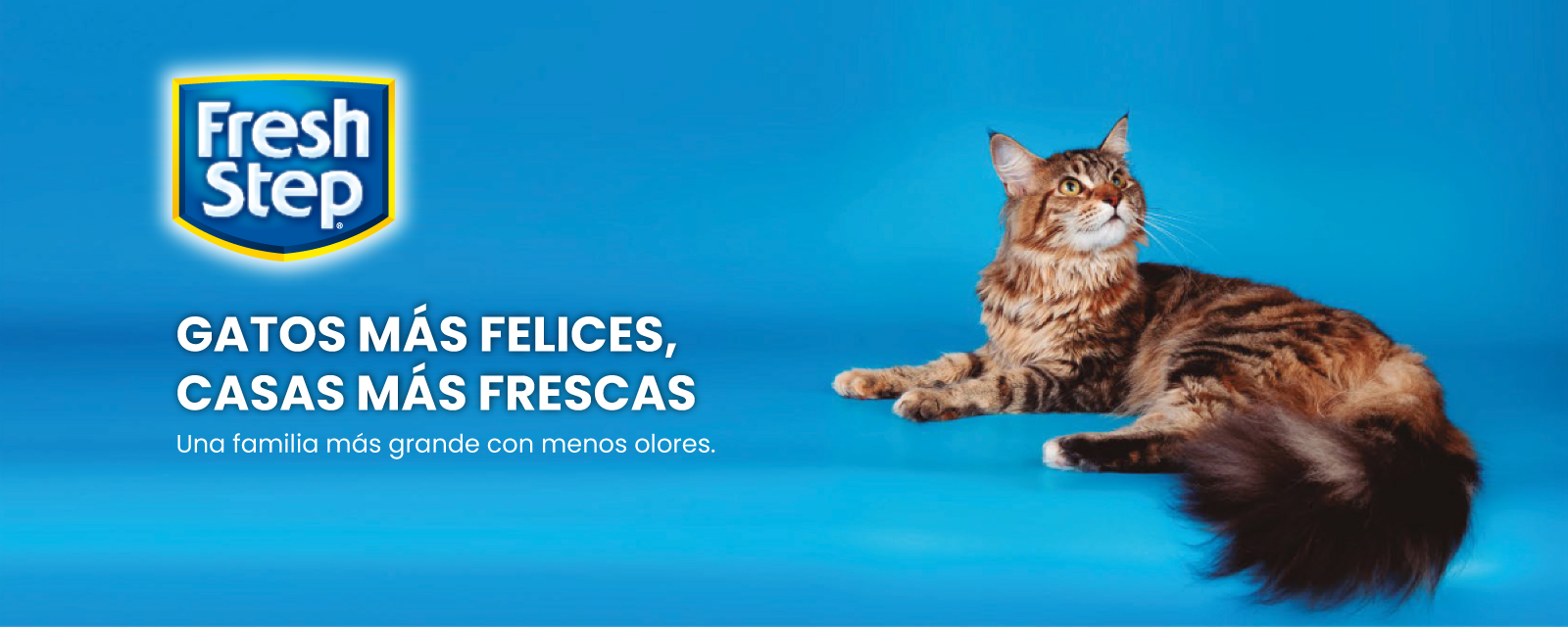 Arena fresh step aglomerante