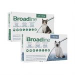 Broadline gatos