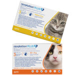 Revolution Plus gato