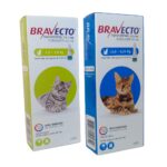 Bravecto gatos