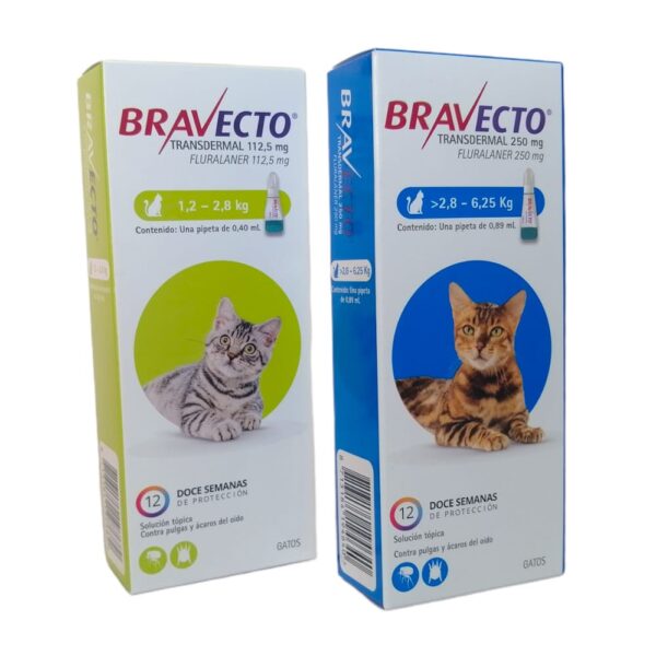 Bravecto gatos