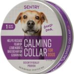 collar sentry perro