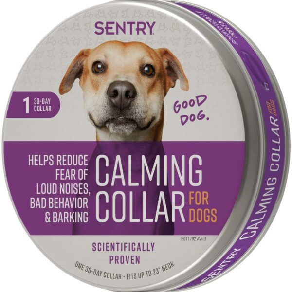 collar sentry perro