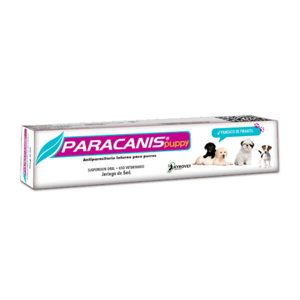 paracanis puppy