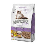 monello gato castrado