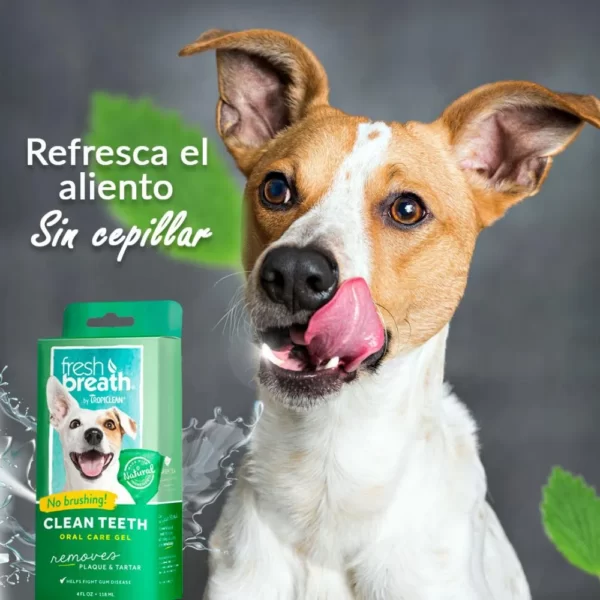 Gel dental fresh breath