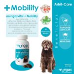 mobility mungos