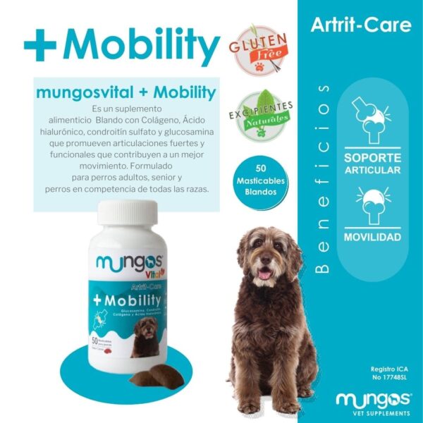 mobility mungos