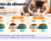 Guía visual para cambiar gradualmente el alimento de un gato en recipientes separados