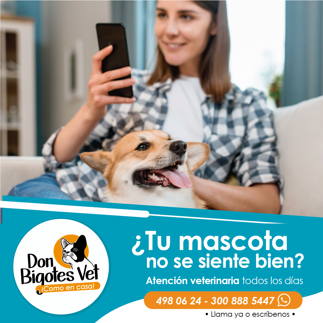 tienda para mascotas en Medellín