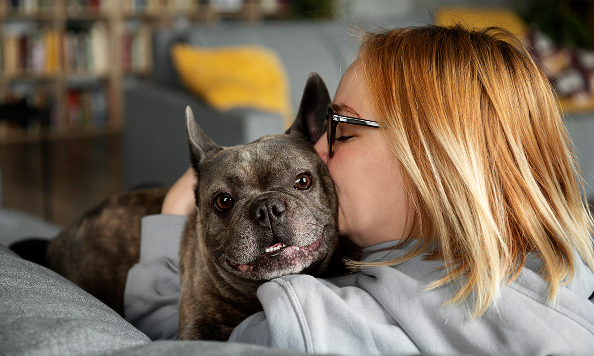 Tengo un bulldog ¿cuáles son sus cuidados?