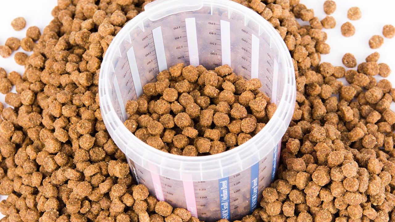 calculadora de alimento perros y gatos