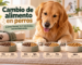 Cambio de alimento en perros paso a paso