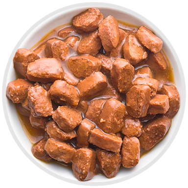 Alimento para mascotas Húmedo