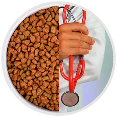 Concentrado medicado