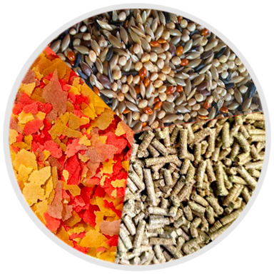 Alimento para peces, aves y roedores