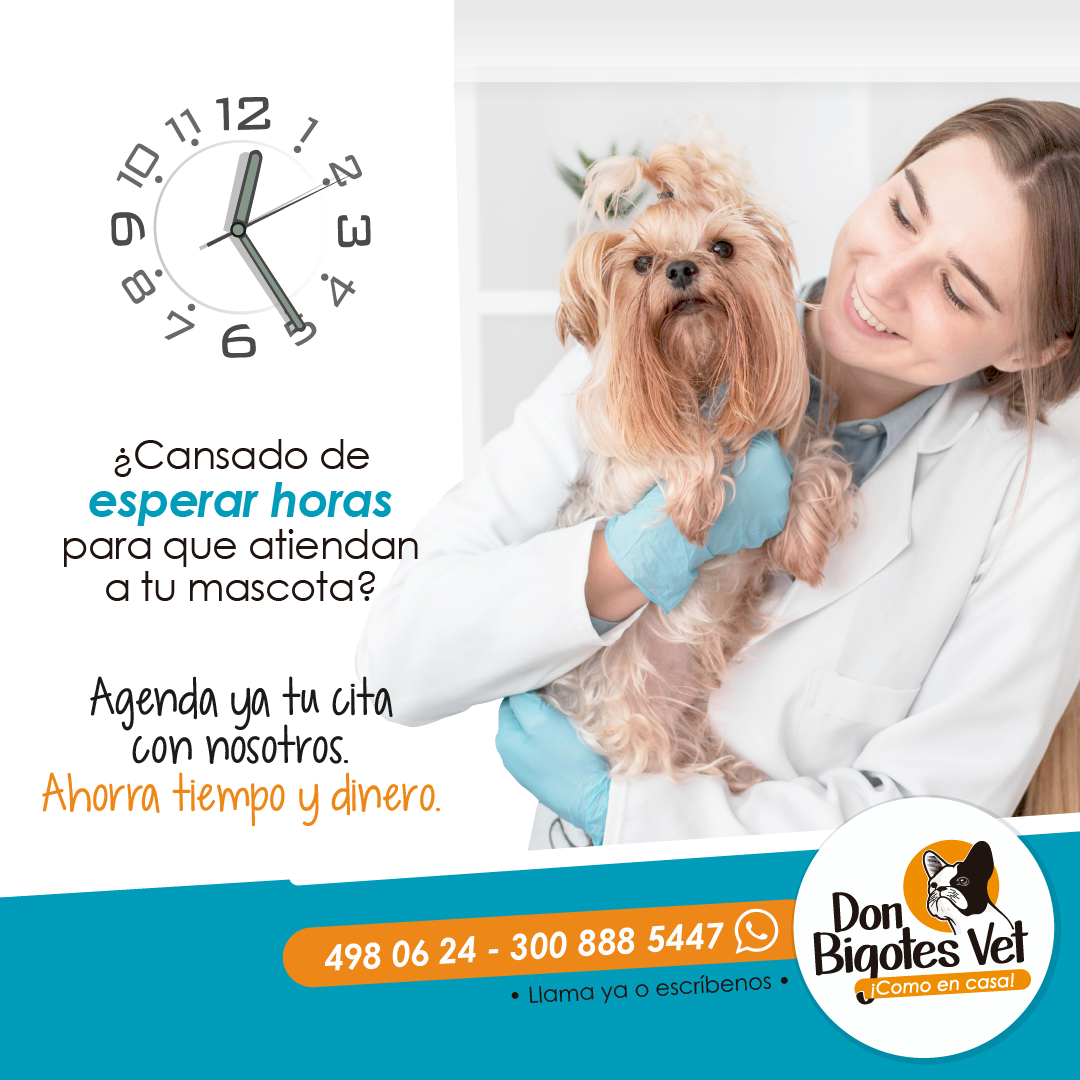 No esperes, agenda ya tu cita