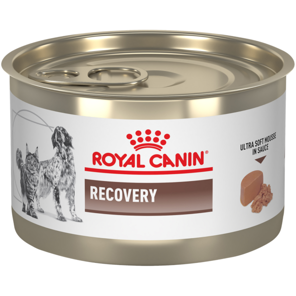 Lata Royal Canin Recovery 145 g para perros y gatos