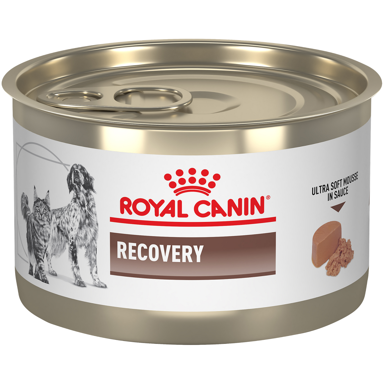 lata-royal-canin-recovery-145-g-perros-gatos Lata Royal Canin Recovery 145 g para perros y gatos