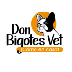 Don Bigotes Vet - Como en casa