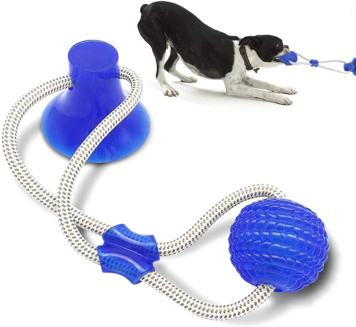 Pelota con cuerda para halar
