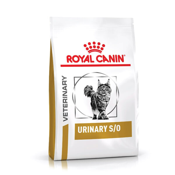 royal canin urinary so gato