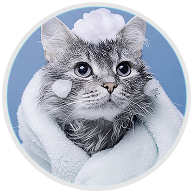 Peluqueria canina y felina