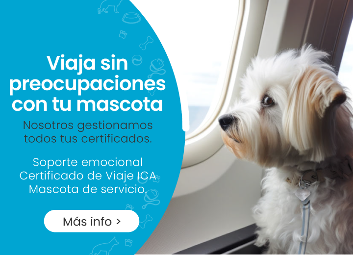 Certificado de soporte emocional para mascotas | Certificado de viaje para mascotas ICA | Certificado de mascota de servicio